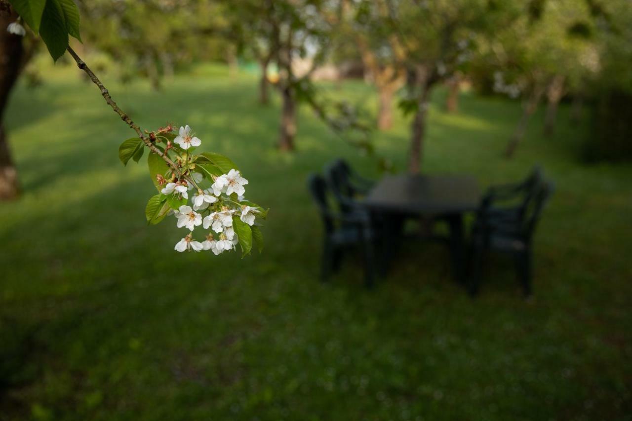 Gite Mattaincourt Bagian luar foto
